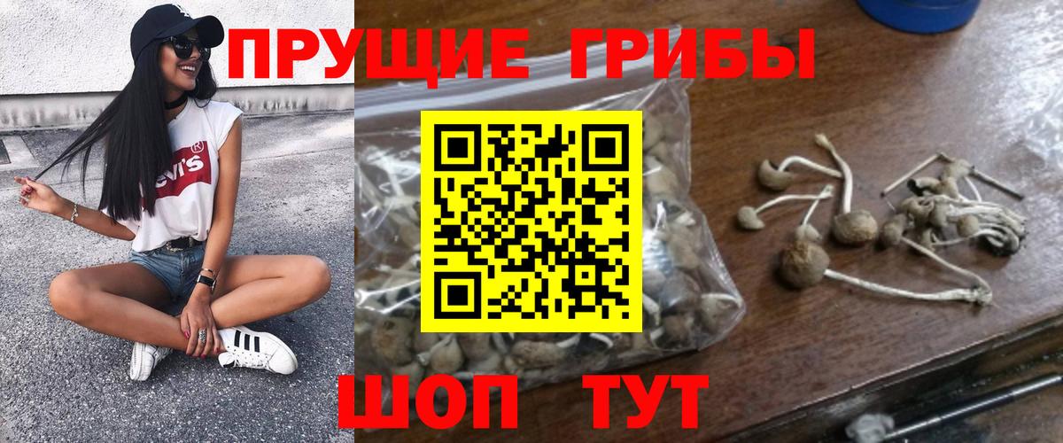 Галлюциногенные грибы Psilocybe  Вход с VPN  Воркута  Галлюциногенные грибы мухоморы 